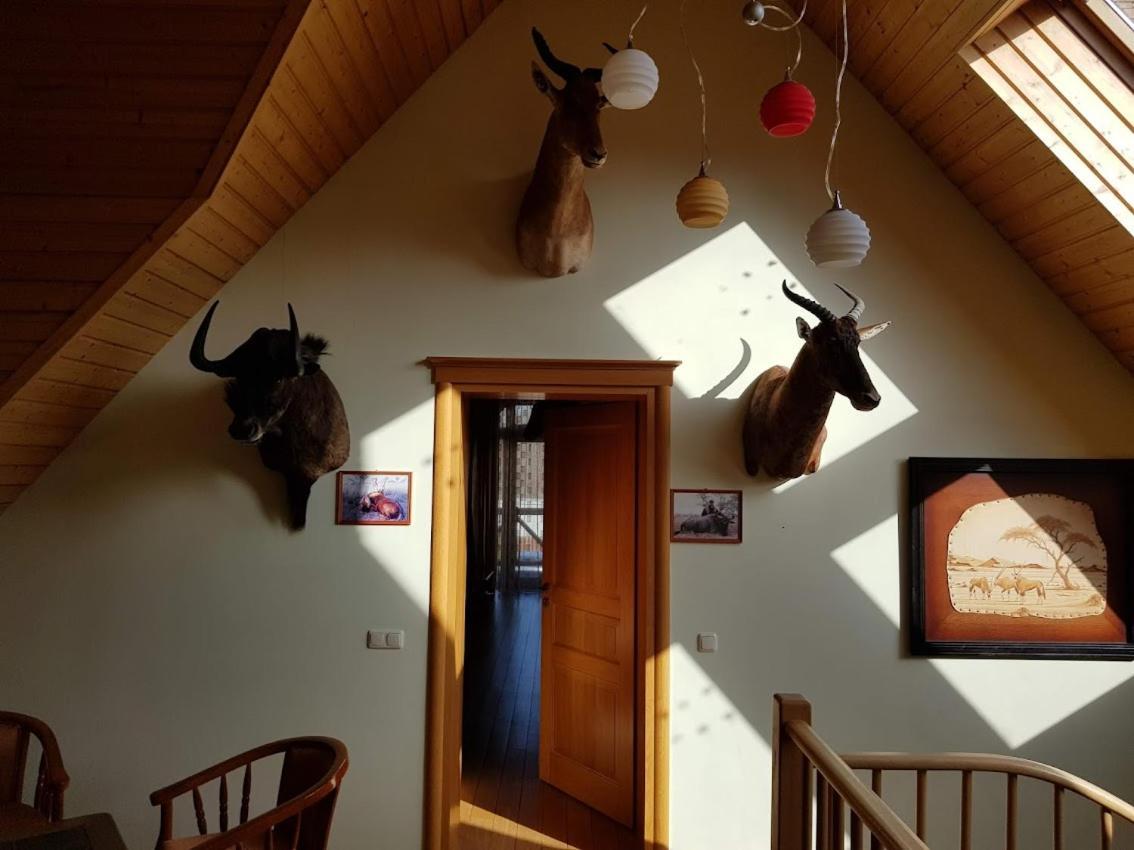 Apartamentai Hunter House Druskininkai Kültér fotó