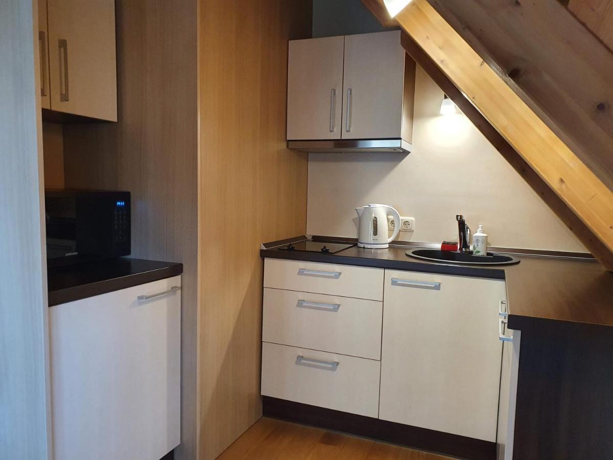 Apartamentai Hunter House Druskininkai Kültér fotó